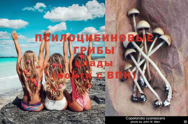 меф Алзамай